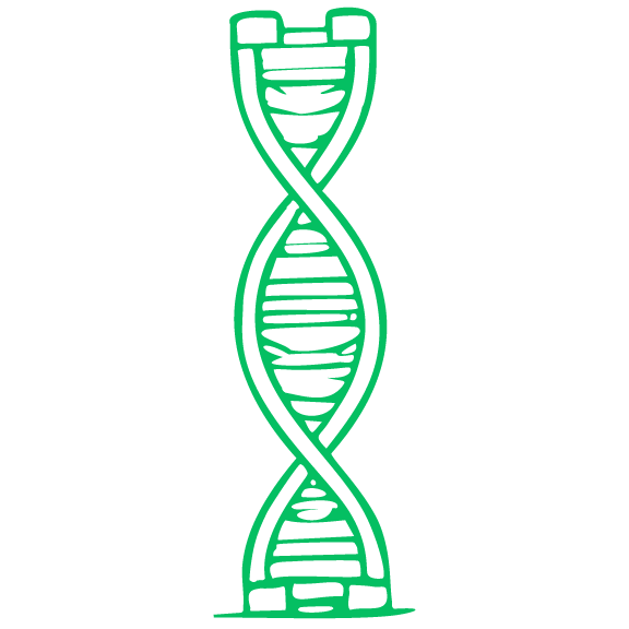 DNA Structure in Green