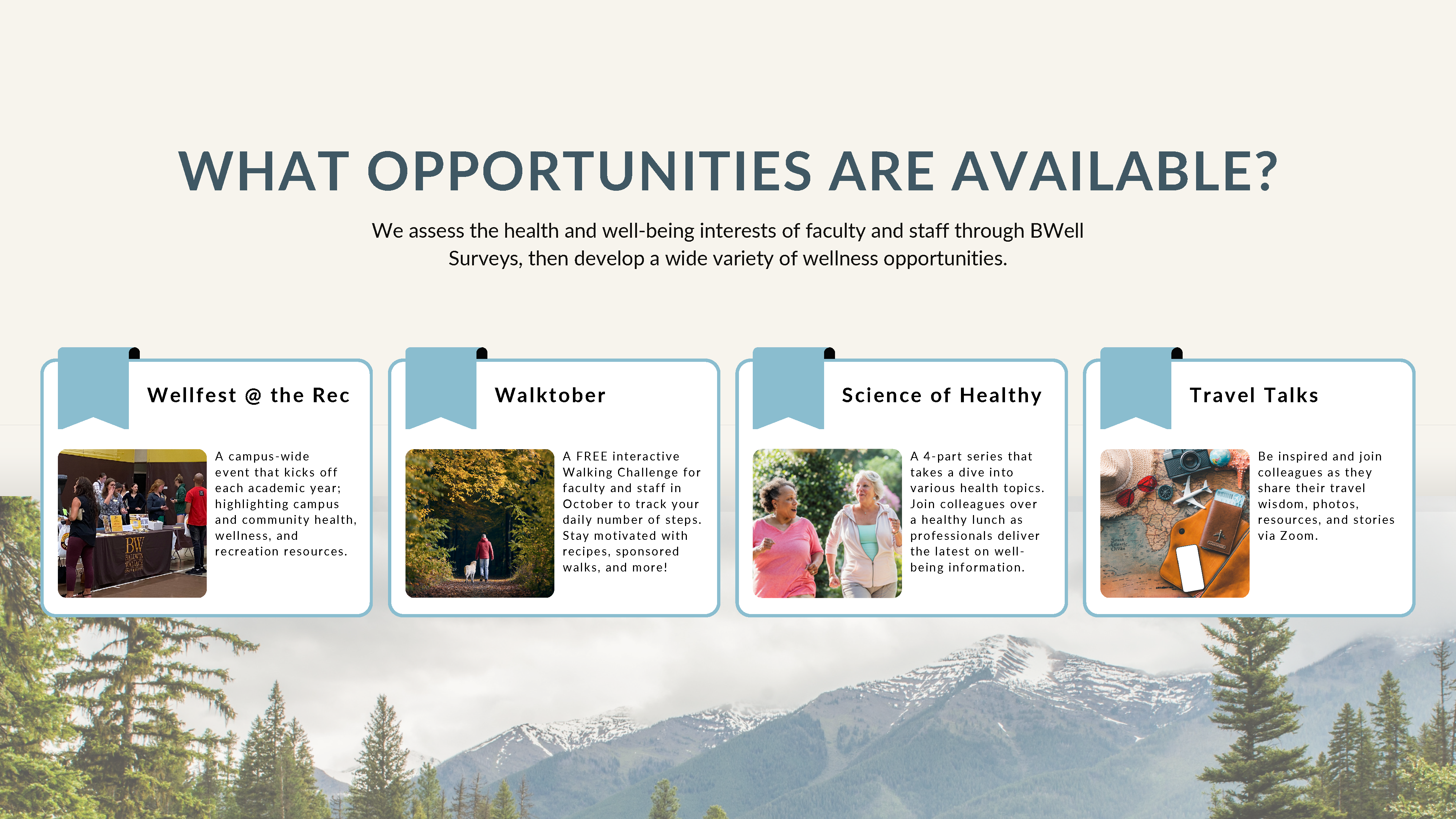 Employee Wellness Opportunities