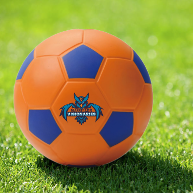 Primary logo of the Massillon Visionaries on an orange soccer ball